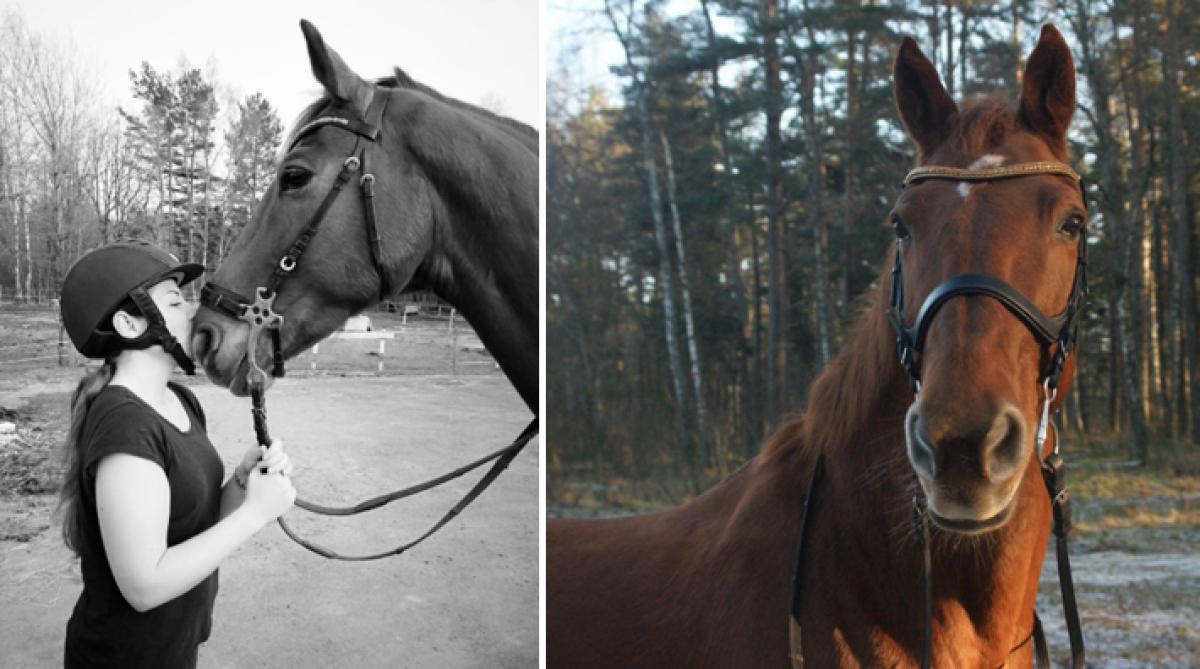 Lotterihästen har varit med Sara-Sofia halva livet: ”Så glad att jag fick henne”