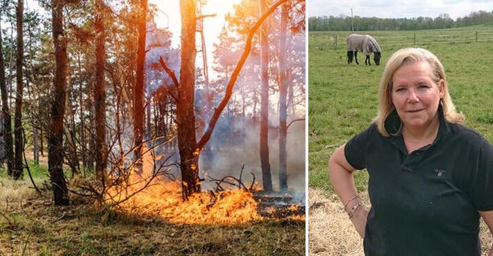 "Om elden kommer" ska hjälpa hästägare att samarbeta vid brand