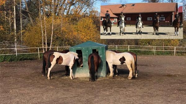 Crowdfunding blev lösningen på hökrisen