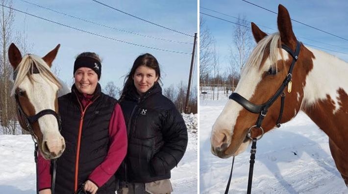 Alla är engagerade i arbetet med hästarnas välfärd. Här syns ridskolechef Rikke Stroyberg tillsammans med ordförande Lisa Nilsson och en av lektionshästarna, med tränset de har introducerat i verksamh...