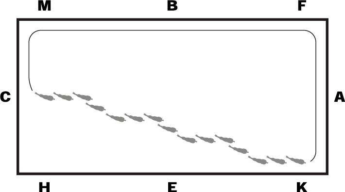 Trappan rids genom öppnor och diagonalslutor.