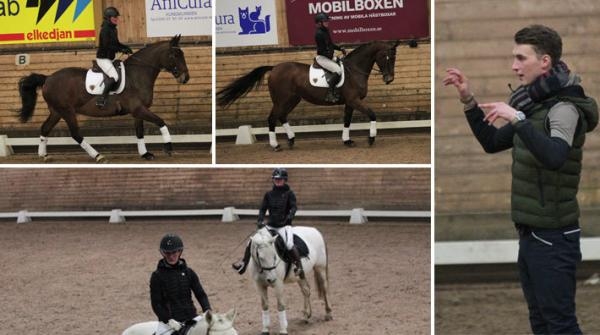 Teori med Carl Hedin: ”Ridskolehästarna har varit mina bästa tränare”