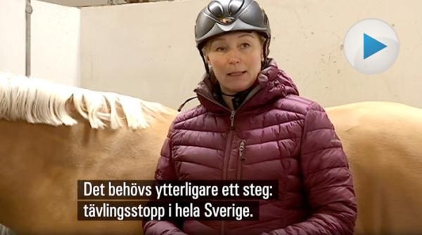 Skärmdump från SVT:s inslag – se länk nedan.