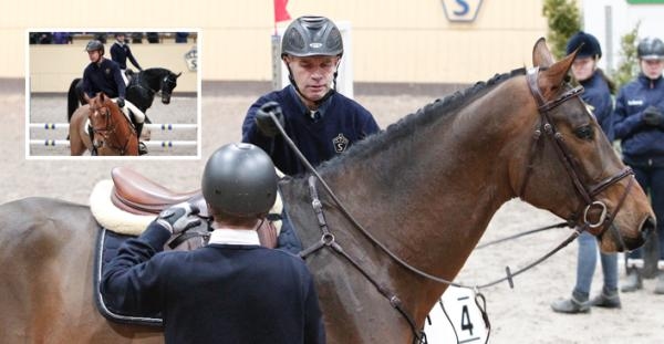 2013 testred Peter hingstar på Bruksprovet. Han är en flitigt anlitad tränare och rider även många toppryttares hästar i markarbetet.