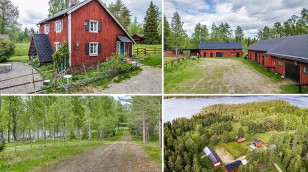 Härlig gård med fina träningsmöjligheter