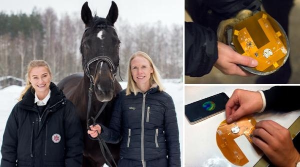 Sandra och Jessica tillsammans med Skogslottens ryttarförenings skolhäst Sandokan Z.