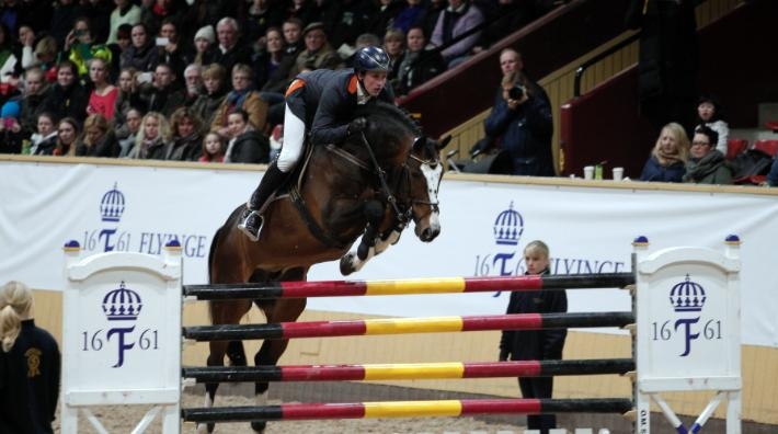 Balou du Rouet på hingstvisning i Sverige för ett par år sedan. Foto: Johan Sjögren