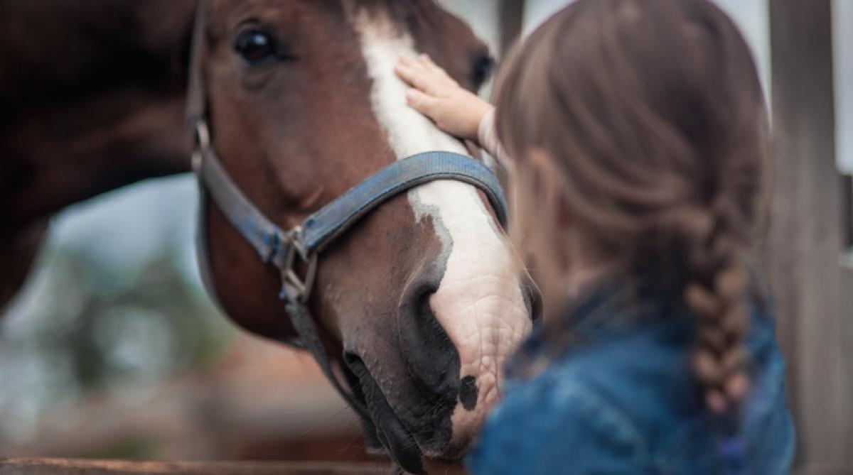 Bilden är tagen i ett annat sammanhang. Foto: Adobe Stock