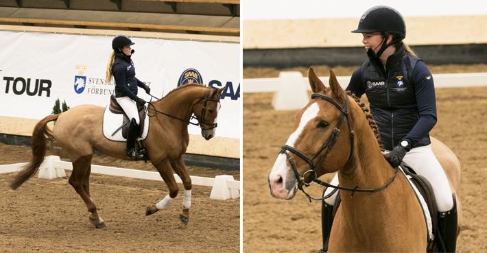 Lina Dolk rider "Manne", alltså Imanoboy van Dyckershof (född 2008, e. Carabas v/d Wateringhoeve – Gratulant).