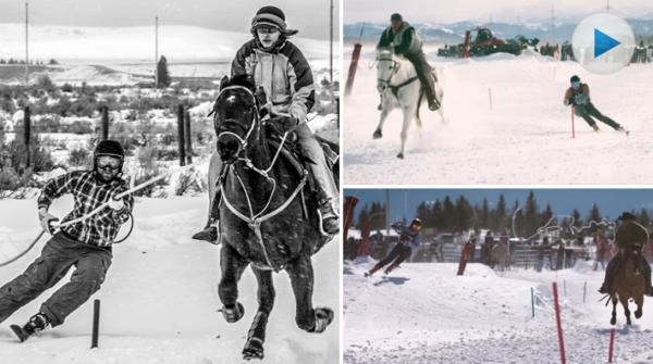 Foto: Skijoring America och skärmdump