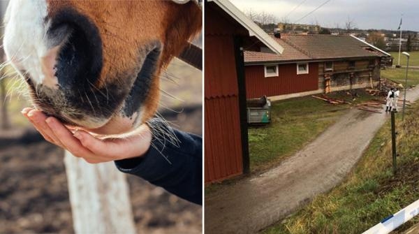 Ridskolechefen om stallbranden: "Fruktansvärt att få beskedet”