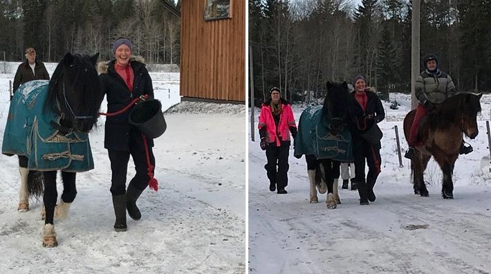 Lycklig återförening mellan Alvar och hans ägare Louise.