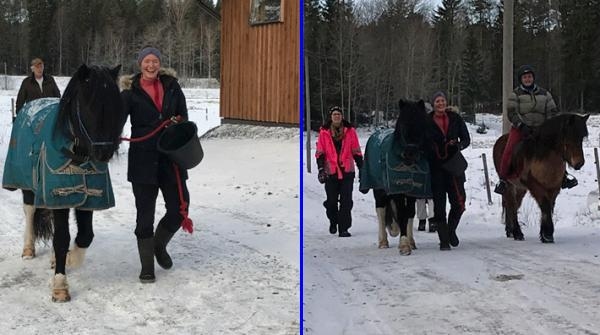 Lycklig återförening mellan Alvar och hans ägare Louise.