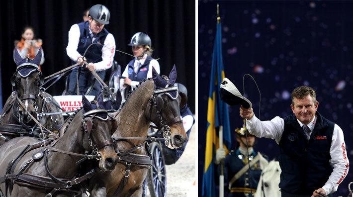 Boyd Exell – körningens ständiga segrare: "Hästarna lyssnar när vi ropar"