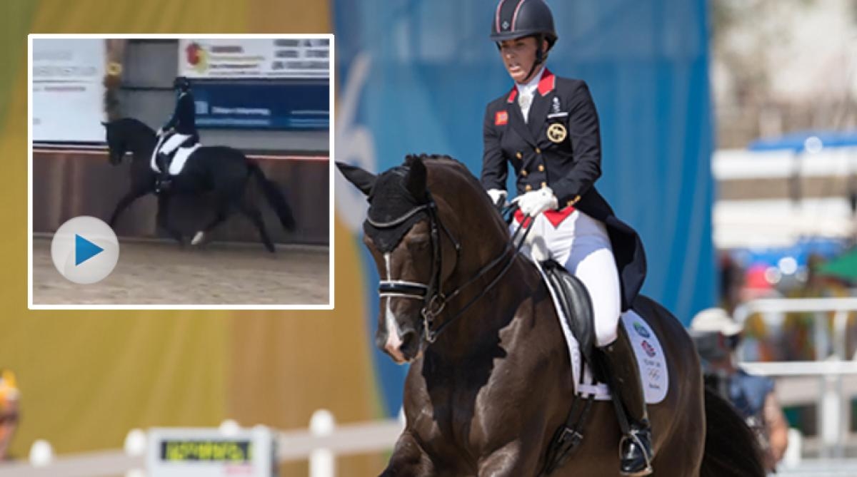 Charlotte Dujardin och Valegro. Se filmklipp på den nya hästen Alive and Kicking nedan. Arkivfoto: Tomas Holcbecher och Skärmdump