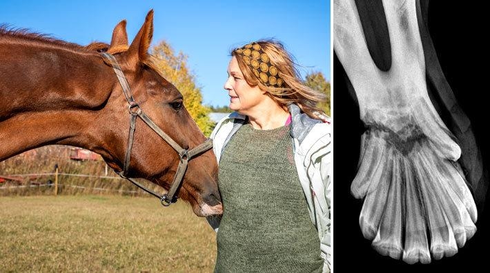 Gucci och Yvonne (Foto: Karin Engman). Till höger röntgenbild som visar att käken var helt av (Foto: Matilda Norman).