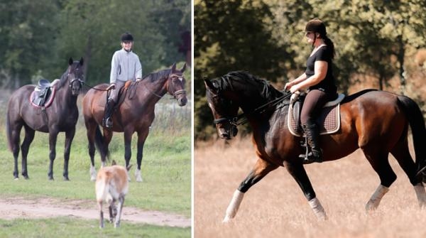 Några av hästarna som kommer för att leva pensionärsliv hos Christina vill bli ridna, Douglas Hilltop till exempel.