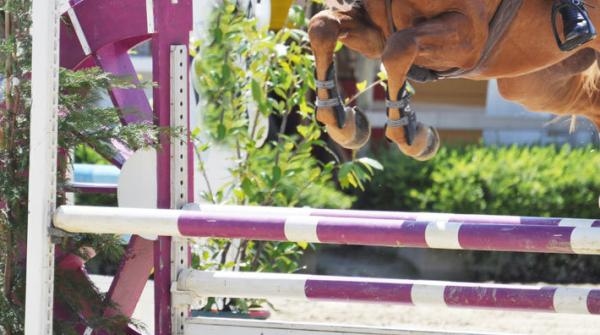 Diskad häst fick tävla i Breeders-finalen – ärendet anmält till disciplinnämnden