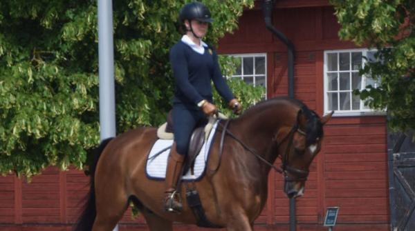 Dressyrstipendiaten Saga Kullberg med sjuåriga Conny M. Foto: Strömsholm