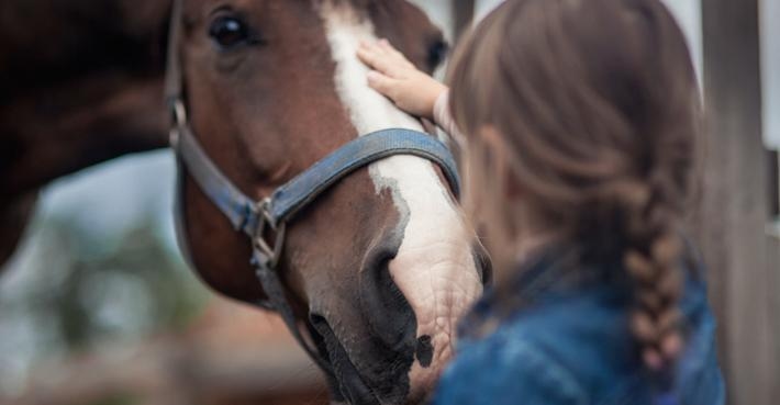 Foto: Adobe Stock