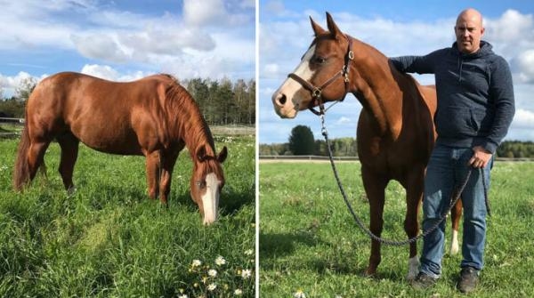 Natalia njuter av hästlivet på gården utanför Uppsala, här tillsammans med husse Conny Nilsson.