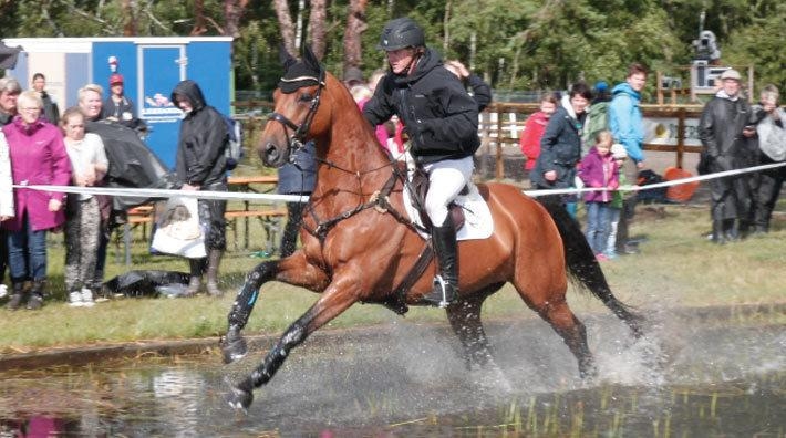 Strålande inledning av Niklas och Focus Filiocus