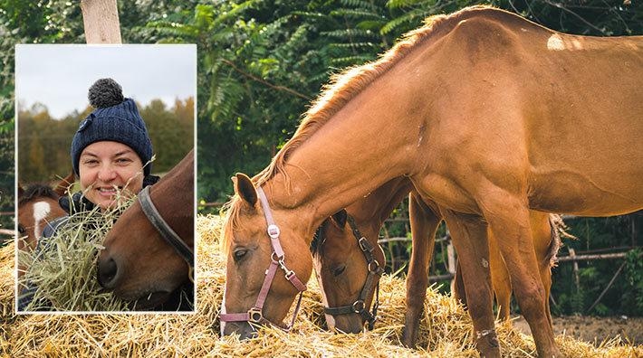 Foto: Ida Röök och Adobe Stock