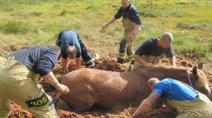 Foto: Bergslagens räddningstjänst