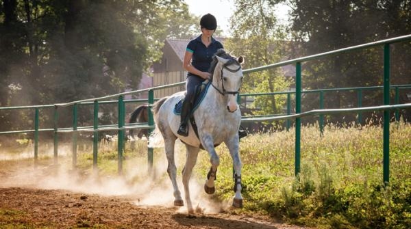 Foto: Adobe Stock