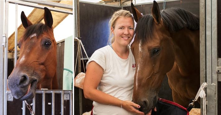 Malin tar hand om Peder Fredricsons fyra hästar under Falsterboveckan.