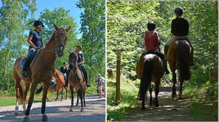 Premiär för ridled i naturreservat: ”Den har varit väldigt efterlängtad”