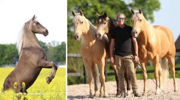 Tobbe Larsson bjuder hem publiken för att fira Nicke