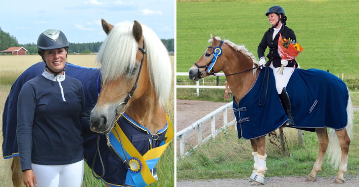 Fortuna är 152 centimeter hög och är troligtvis den första haflingern i Sverige att kvala till Msv B.