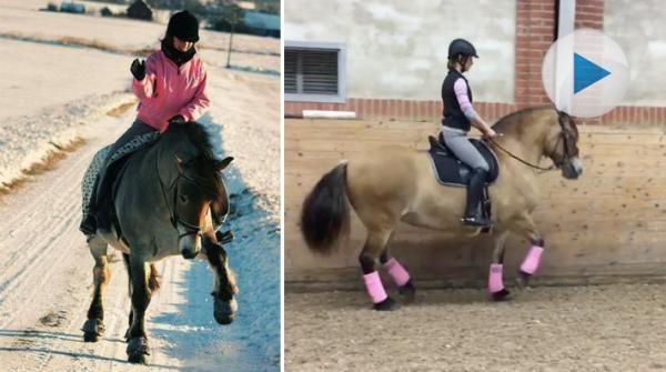 Åsa och hennes nordsvensk Dotte tävlar dressyr och piafferar