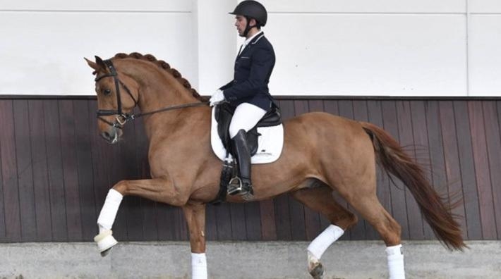 Foto: Helgstrand Dressage