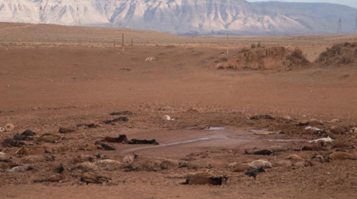 Foto: Navajo Nation