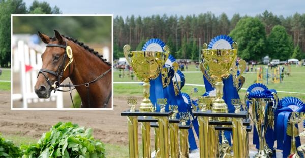 Skatta för prispengar: "Huvudregeln är att privatpersoner inte ska behöva skatta"