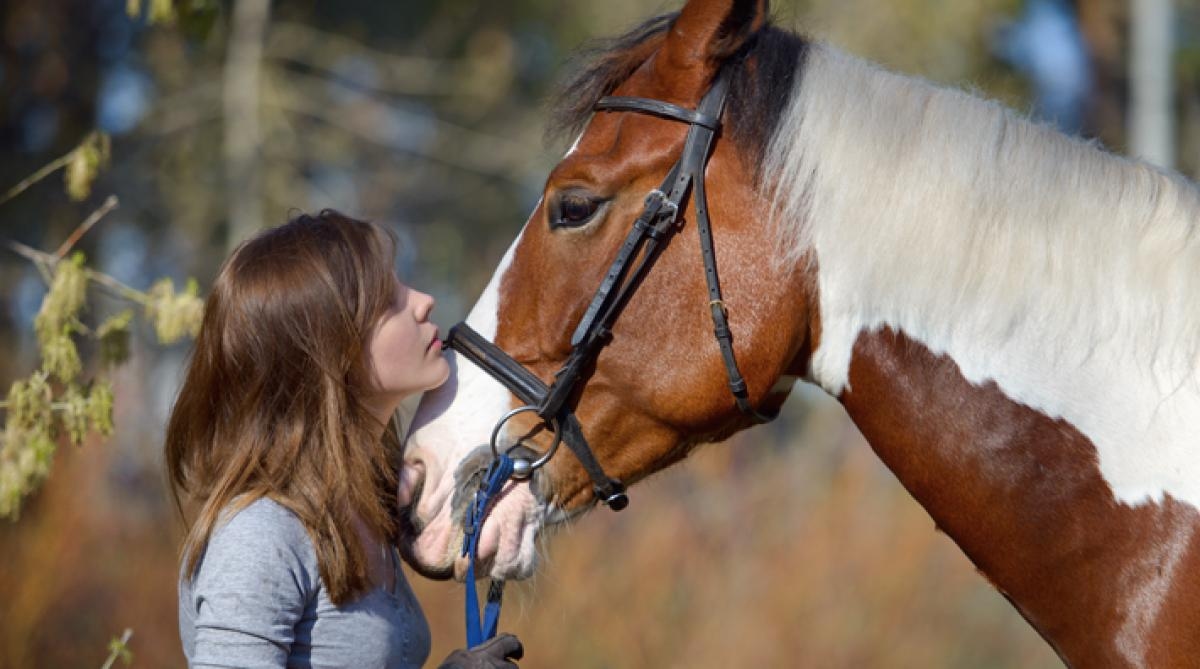 Foto: Adobe Stock