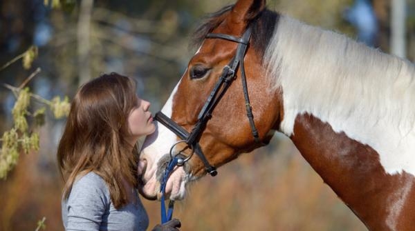 Foto: Adobe Stock