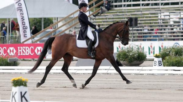 Therese på Mocca agerade förryttare utom tävlan vid EM 2013. Foto: Anki Yngve