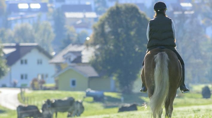 Ekipaget på bilden har inget samband med artikeln. Foto: Adobe Stock