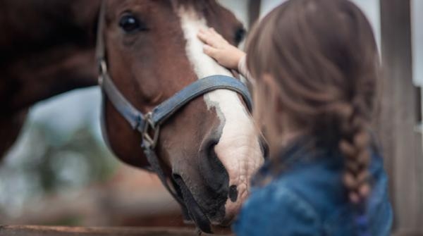 Foto: Adobe Stock