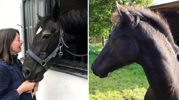 Till vänster Ann-Christine med lånestoet Arwen. Till höger den lyckade avkomman "Olle".