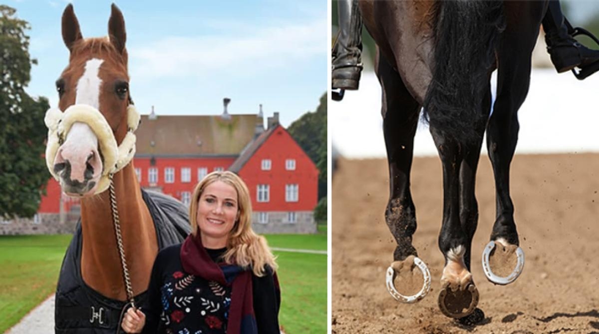 Foto: Falsterbo Horse Show och Adobe Stock