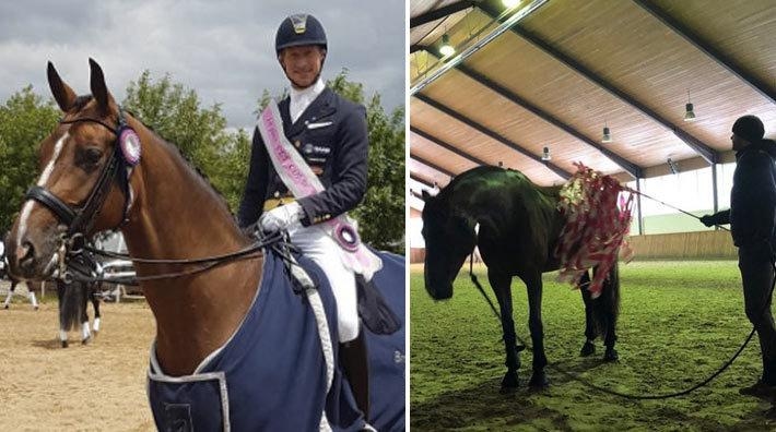 Will Rogers hjälpte Patrik Kittel med Welly: "Hon är redan mycket tryggare"