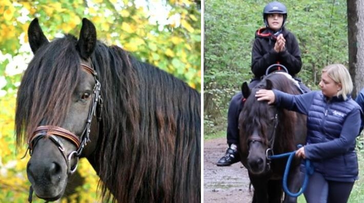 Foto: Sara Carlsson och Johan Höglund