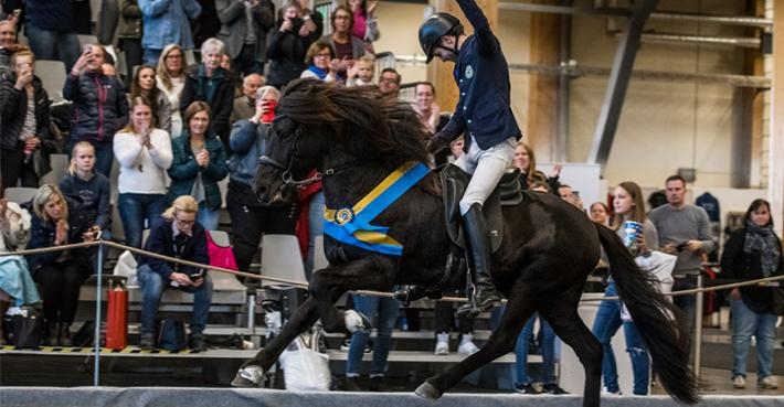 Vinnare i F1 femgång blev Caspar Hegardt på Oddi från Skeppargården. Foto: Elmia AB/Sofie Lahtinen Carlsson