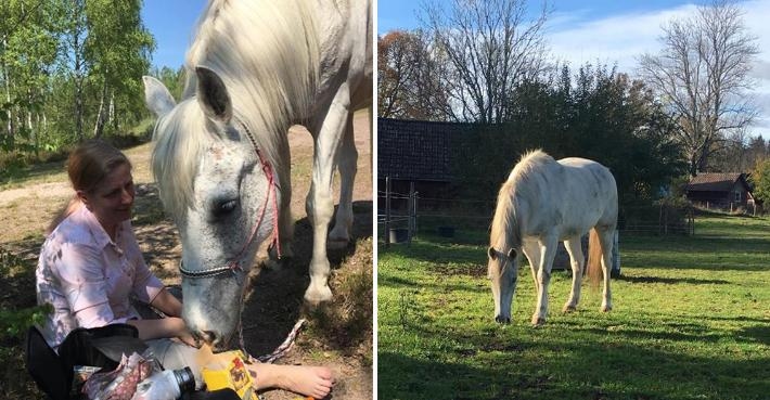 Jennie Olins dotter, Tinja, döpte hästen Tinjas Eeyore när hon var tre år gammal.