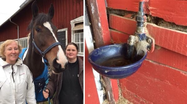 Towe Lindqwister, hästen Monarchia och Sofia Sandberg. Foto: Privat