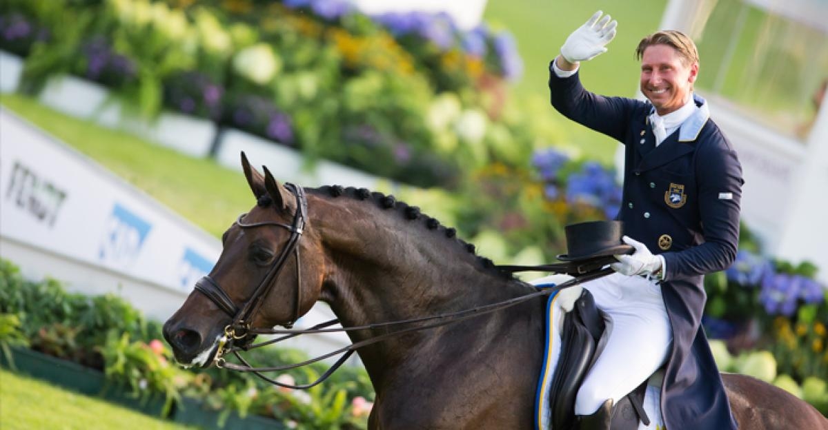 SWB-hästarna har gott rykte utomlands. Här syns Patrik Kittel på OS-stjärnan Deja. Foto: Tomas Holcbecher